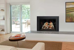 Kozy Heat: Roosevelt 34 Gas Insert