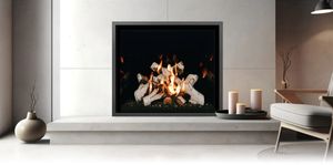 Mendota: FV46 FireIn