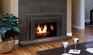 Enviro: E33 Insert (SIT IPI) - Glass Burner