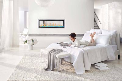 Napoleon: Vector 50 See-Through