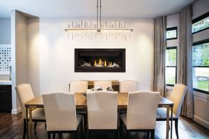 Napoleon: Ascent Linear 46 (Premium)