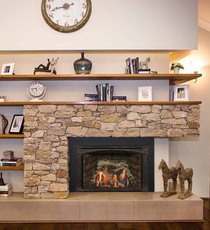 Kozy Heat: Roosevelt 29 Gas Insert