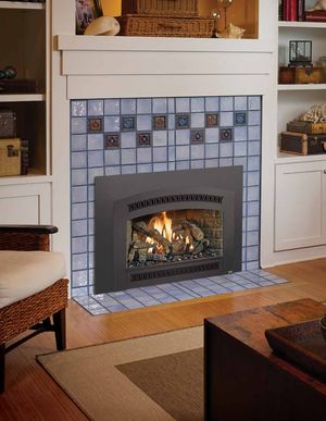 Fireplace Xtrordinair: 32 DVS Deluxe Ember-Glo