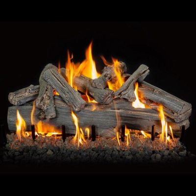 Grand Canyon: Western Driftwood See-Through Gas Log Set 42in