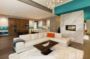 Napoleon: Vector 38 See-Through