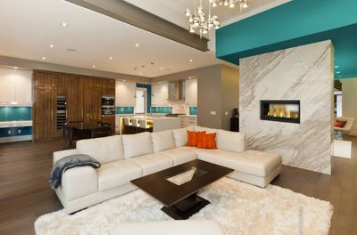 Napoleon: Vector 38 See-Through