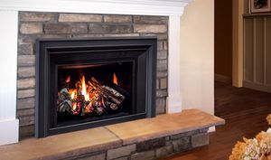 Enviro: E30 Insert (SIT IPI) - Log Burner