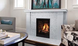 Enviro: Q1 Fireplace