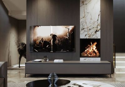 Ortal: Front Facing Fireplace 25H - Double Glass
