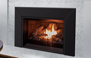 Enviro: E25 Insert (SIT IPI)