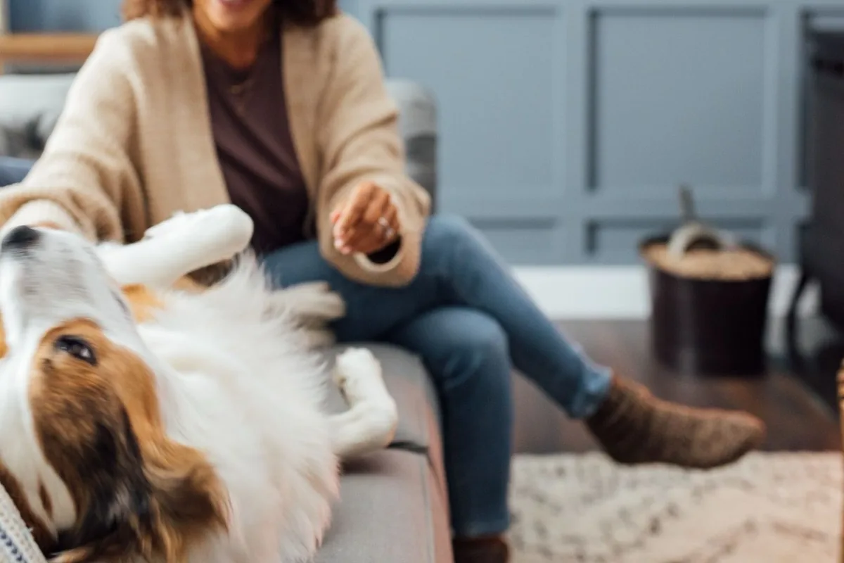 Pellet insert installed in an existing fireplace in a Montana home