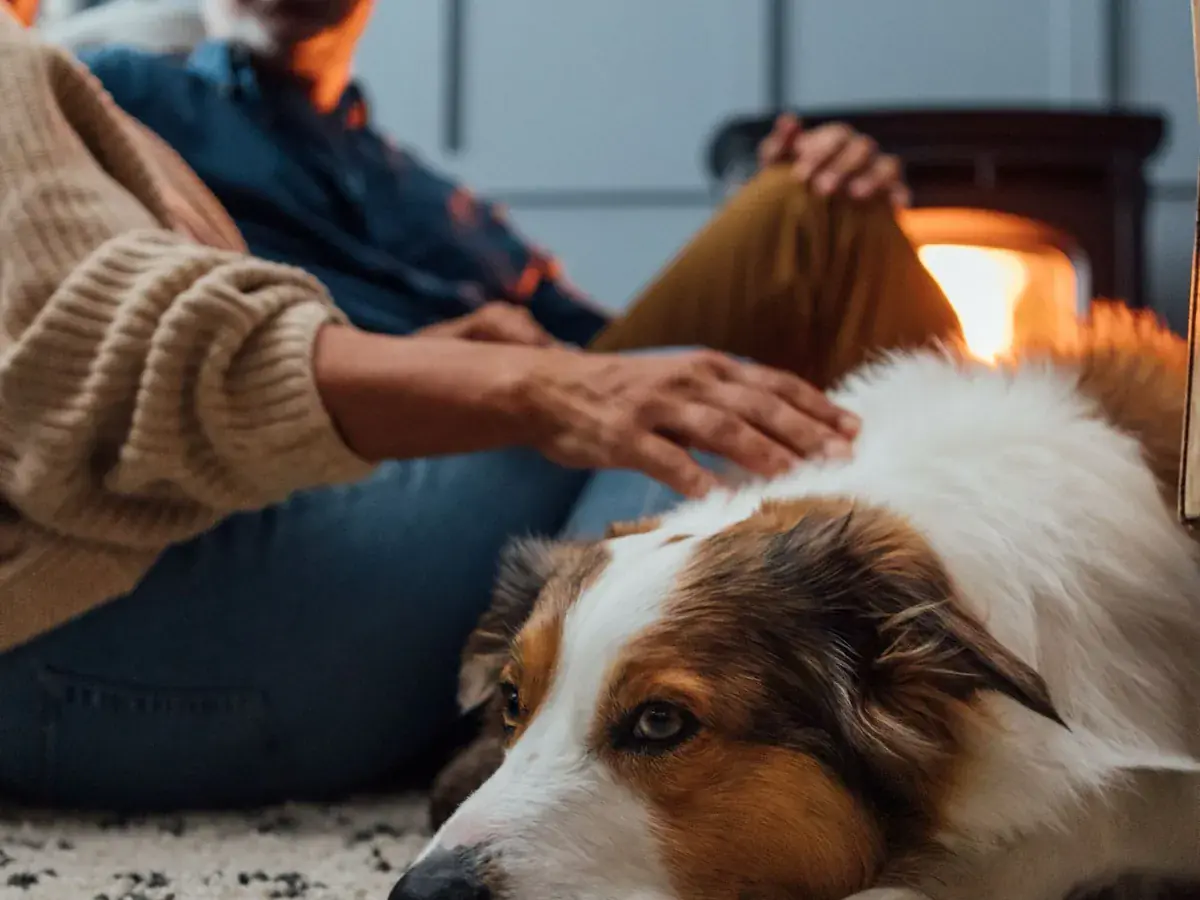 Couple and dog relaxing beside a warm Harman stove on a Montana winter evening