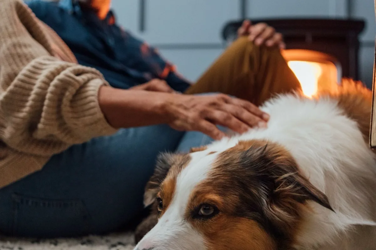 Pellet stove burning cleanly in a Southwest Montana home
